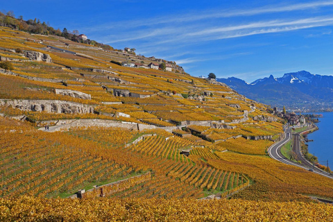 UNESCO Lavaux — Vineyards & Food Tasting — Private Van from Montreux