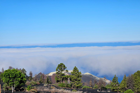 La Palma : Visite du nouveau volcan Tajogaite 360º.Accueil à Fuencaliente