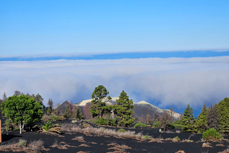 La Palma: Tour naar de nieuwe vulkaan Tajogaite 360º.Ophalen in Santa Cruz de La Palma