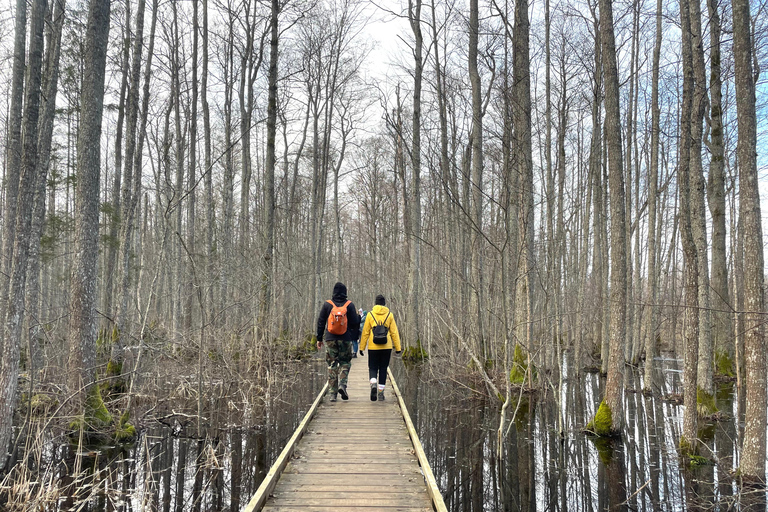 La Gema Oculta de Letonia: Caminata y Transporte por el Sendero Natural del Lago