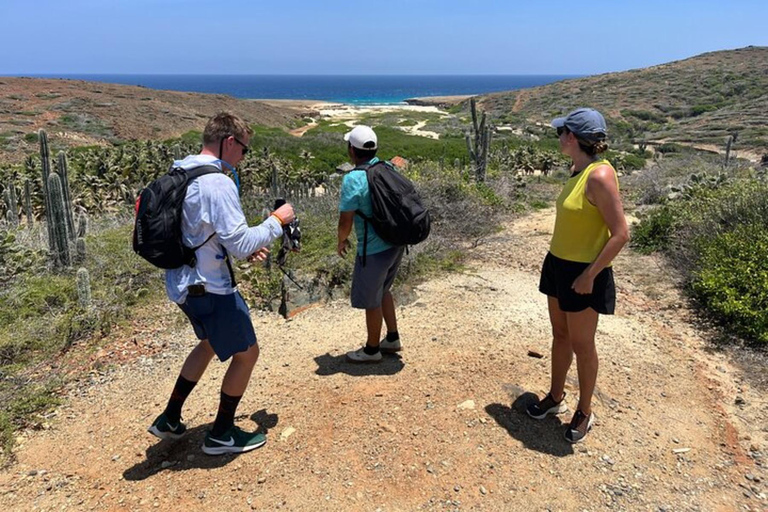 Parque Nacional de Arikok: excursão de meio dia e mergulho com guia