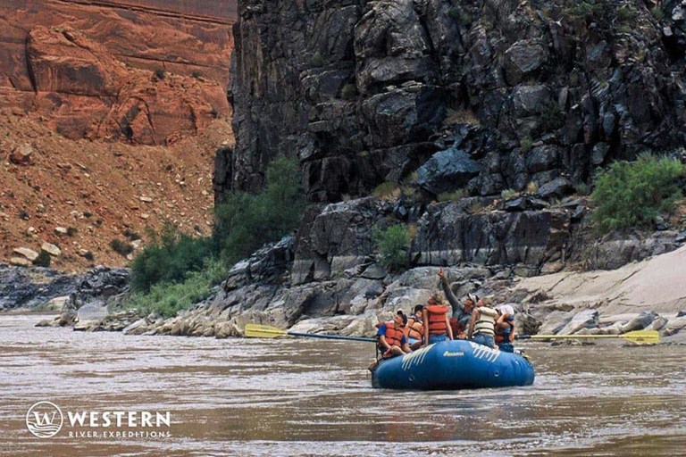 Cañón Westwater: Aventura de rafting en aguas bravas de un día completoSin servicio de recogida