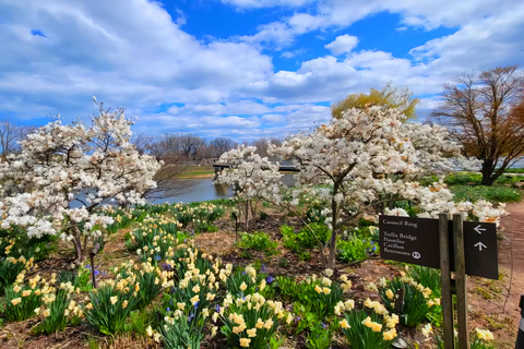 Chicago Suburbs Tour- The Hidden Gems