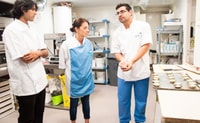 Pastel de Nata Workshop in der echten Bäckerei - Hizvo