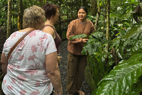 Ubud: Private Half-Day Tour Rice Terrace, Temple & Waterfall Private Ubud Half-Day Tour (Without Entrance Ticket)