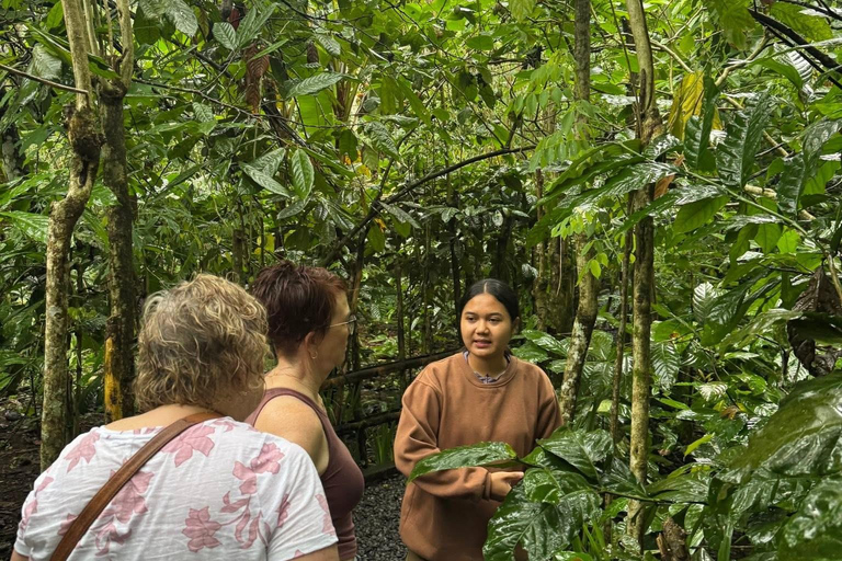 Ubud: Private Half-Day Tour Rice Terrace, Temple & Waterfall Private Ubud Half-Day Tour (Without Entrance Ticket)