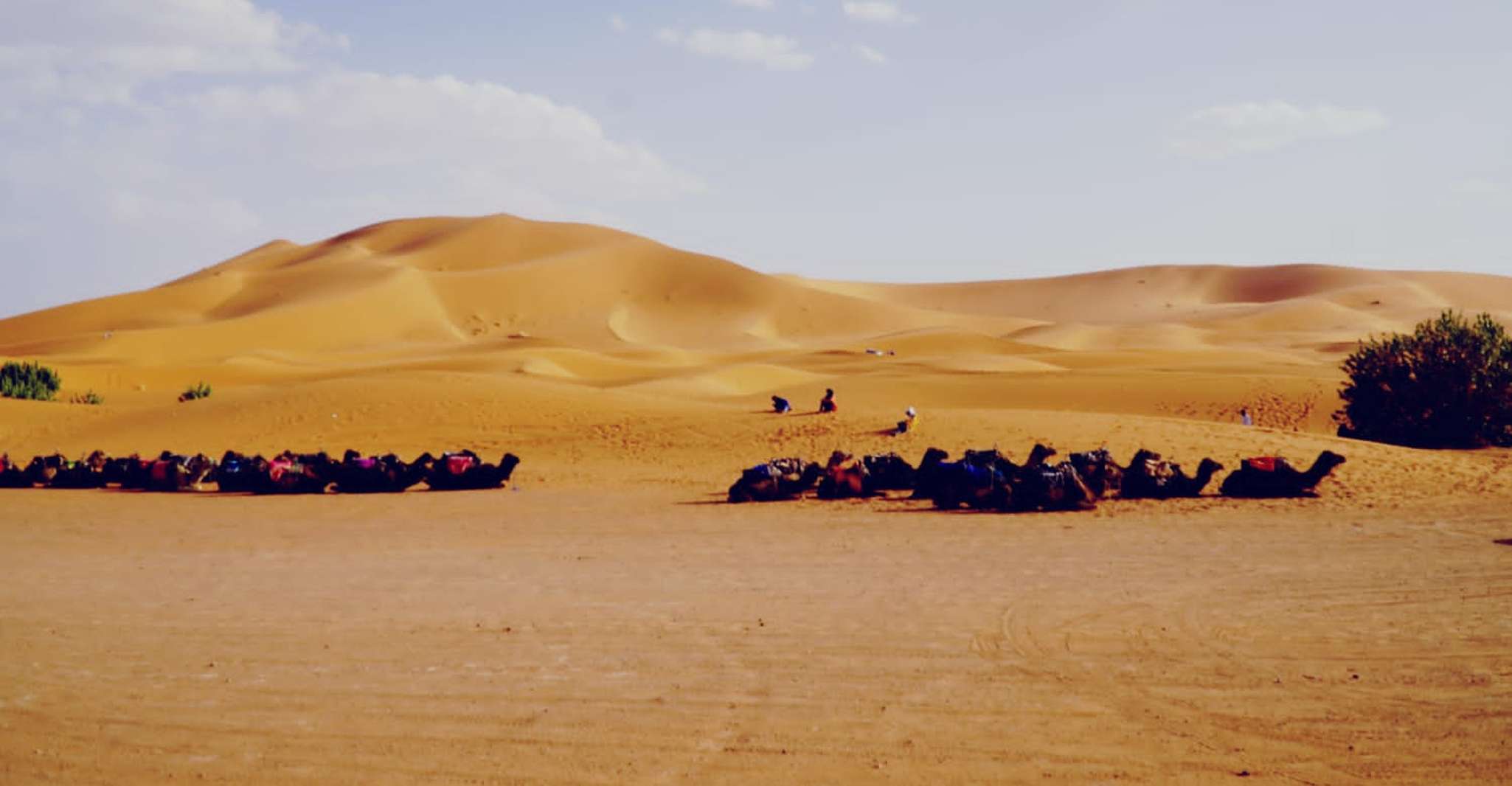 From Merzouga,Desert Overnight in Heated Tent and Camel Ride - Housity