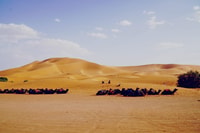 Desde Merzouga, desierto durante la noche en la carpa con calefacción y el paseo en camello - Housity