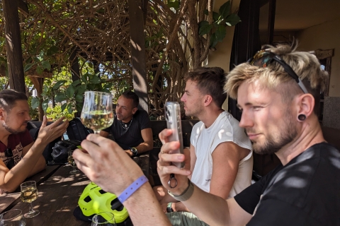 Tenerife: Excursión panorámica en bicicleta con cata de vinos y quesosLos Cristianos: Ruta en Bicicleta con Degustación de Vino y Queso