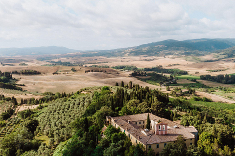 Abbey Tour, Wine Tasting and Light Lunch near Pisa English