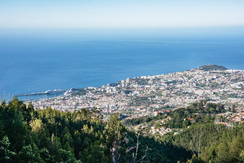 Madère: excursion d'une demi-journée en jeep Pico Arieiro