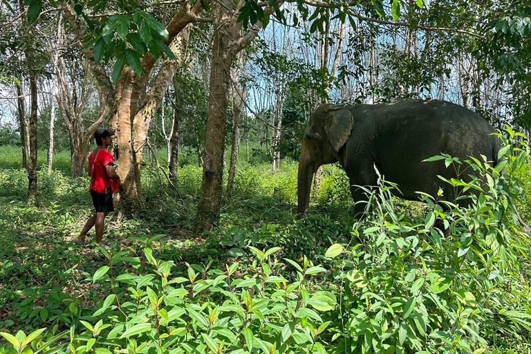 Khaolak Hightlight Jungle Trekking with Eco Guide Day Tour