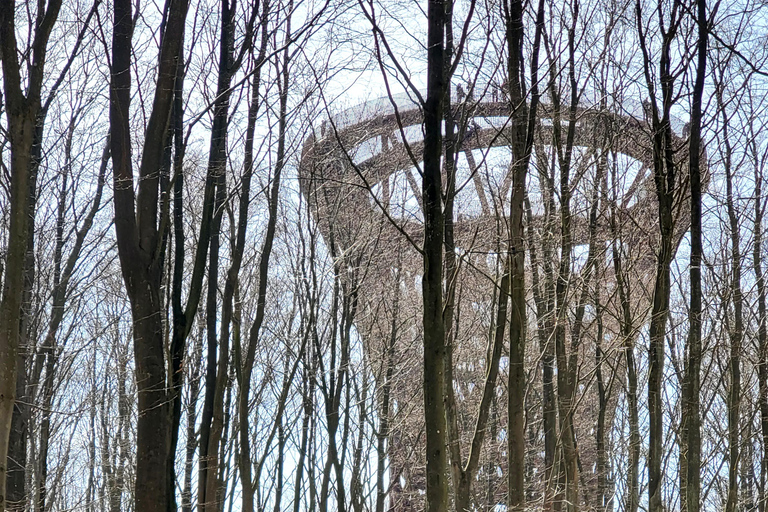 Møns Klint: Forest Tower, Møns Klint, and Fossil Hunt Tour UNESCO Møns Klint and Forest Tower Tour