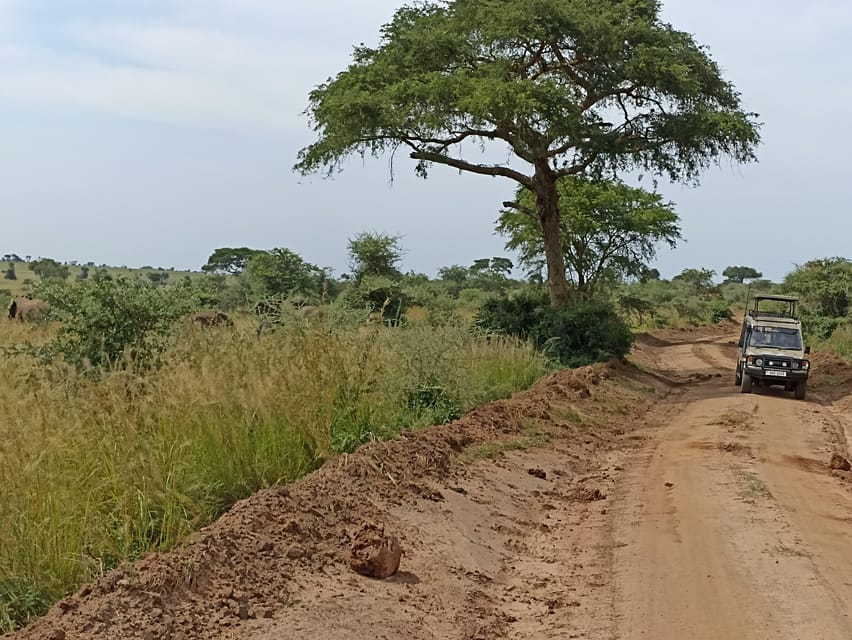 2-Tage See Mburo Wildlife Safari - Hizvo