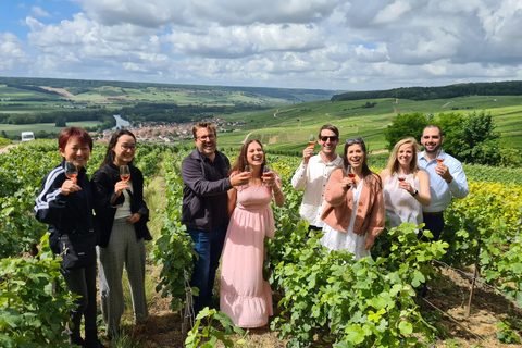 Authentic Champagne Tour: 3 vineyards, 10 Tastings & Lunch Authentic Champagne Tour : Family Vineyards & 10 Tastings