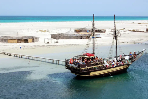 Djerba: Pink Flamingo Island Cruise & Dolphin Watching