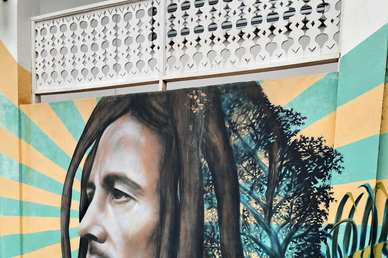 鲍勃·马利九英里之旅（从蒙特哥贝和法尔茅斯出发）鲍勃·马利9英里之旅（从蒙特哥贝和法尔茅斯出发）