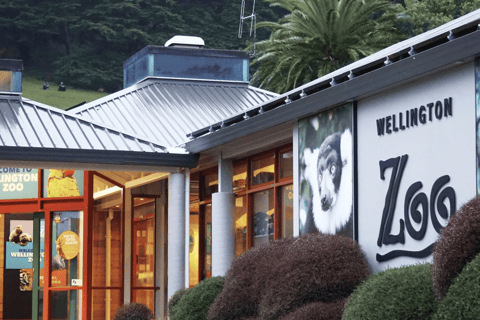 Zoológico de Wellington - Animales de Aotearoa - Visita en grupoZoológico de Wellington - Tour en grupo «Animales de Aotearoa»