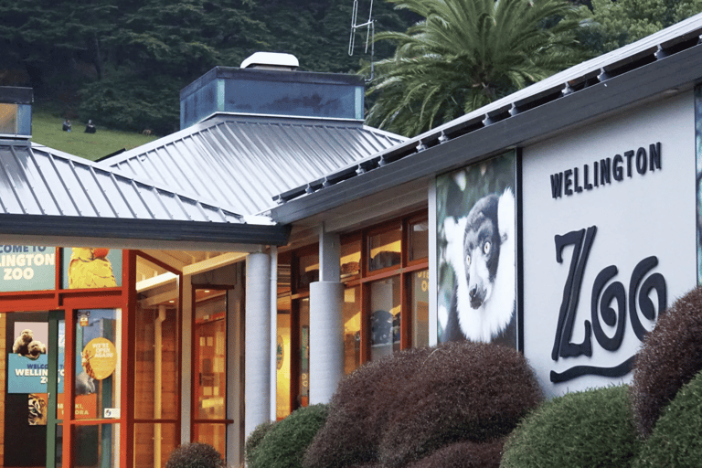 Zoológico de Wellington - Animales de Aotearoa - Visita en grupoZoológico de Wellington - Tour en grupo «Animales de Aotearoa»