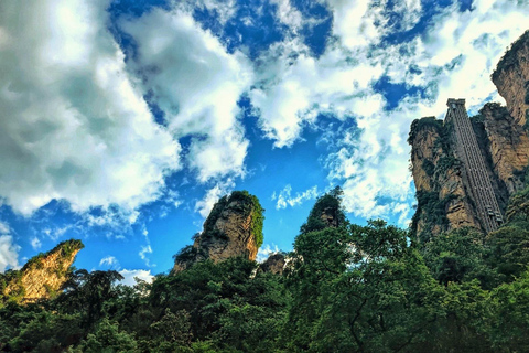 Zhangjiajie National Park-Mt.Avatar Landing Tour