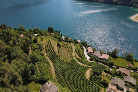 Ledro Lake: Guided Tour & Wine Tasting Among the Vines English
