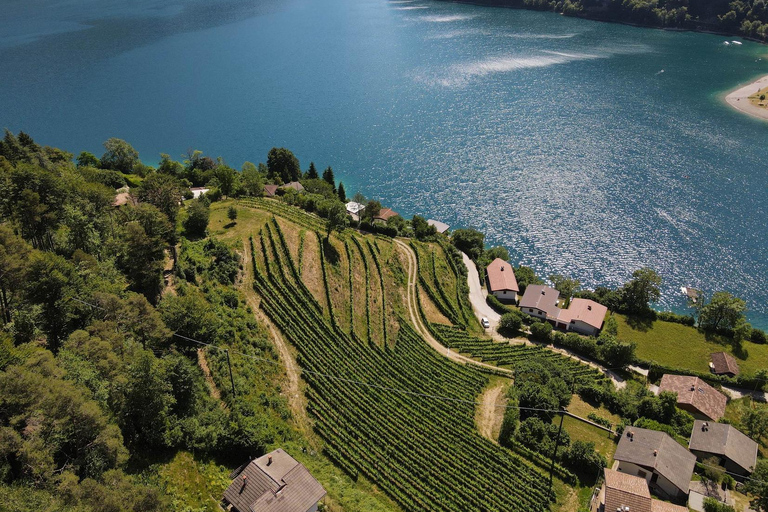 Ledro Lake: Guided Tour & Wine Tasting Among the Vines English