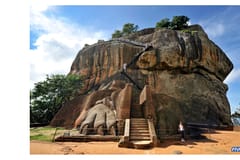 Negombo: Private Tour nach Sigiriya & Dambulla mit Mittagessen