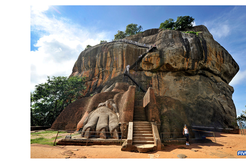 Negombo: To Sigiriya & Dambulla Private Tour with Lunch Sigiriya & Dambulla: Private Tour with Lunch from Waikkal