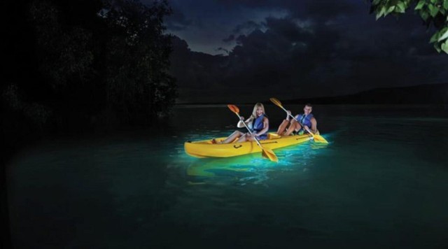 Visit Fajardo Kayaking in Magical Bioluminescent Bay in San Juan, Puerto Rico