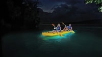 Kayak en Laguna Grande Bahía Bioluminiscente - Hizvo