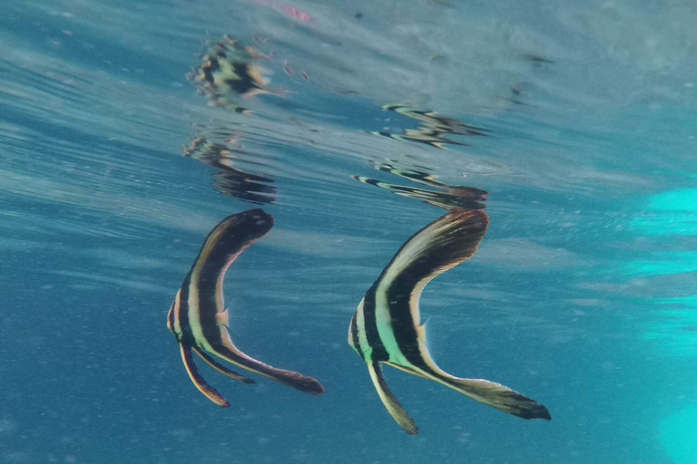 Golden Horizon of Krabi: 4 Islands & Phra Nang Sunset