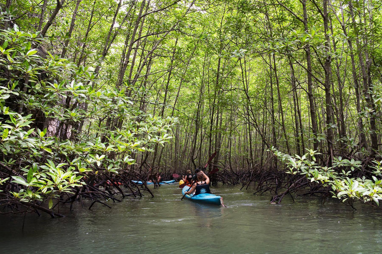 Krabi: ATV Jungle Bash & Kayak Odyssey in Din Daeng Mangrove