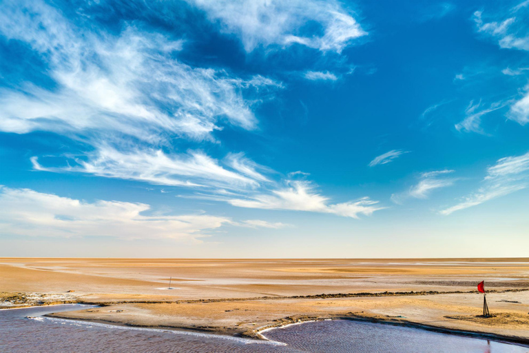From Djerba: 2-Day Tozeur & Sahara Tour , Oasis & Star Wars