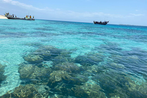 WYCIECZKA MNEMBA DOLPHIN TOUR, AKWARIUM LAGUNA I PLAŻA KENDWA