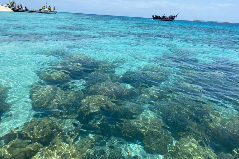WYCIECZKA MNEMBA DOLPHIN TOUR, AKWARIUM LAGUNA I PLAŻA KENDWA
