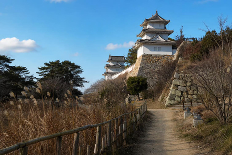 Kyoto / Nara : Kyoto & Nara Private Tour with Driver / Guide Kyoto : Kyoto Private Tour Up To 3 Persons