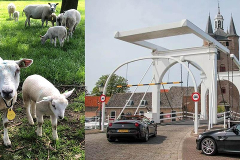 Descobre a zona rural holandesa: Passeio de carro com um especialista local