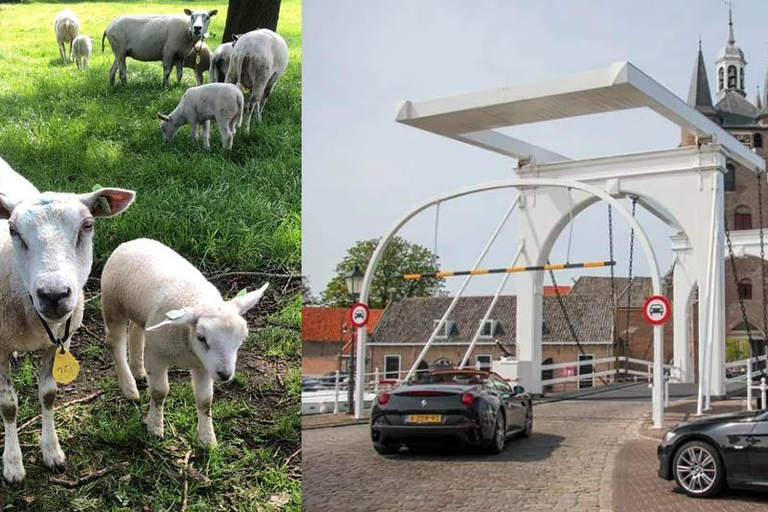 Descobre a zona rural holandesa: Passeio de carro com um especialista local