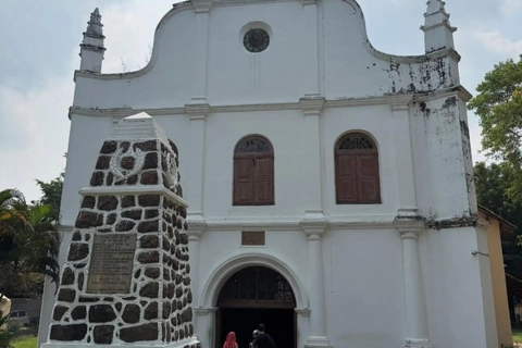 Kochi: Athirappilly Waterfalls & Fort Kochi Full Day Tour