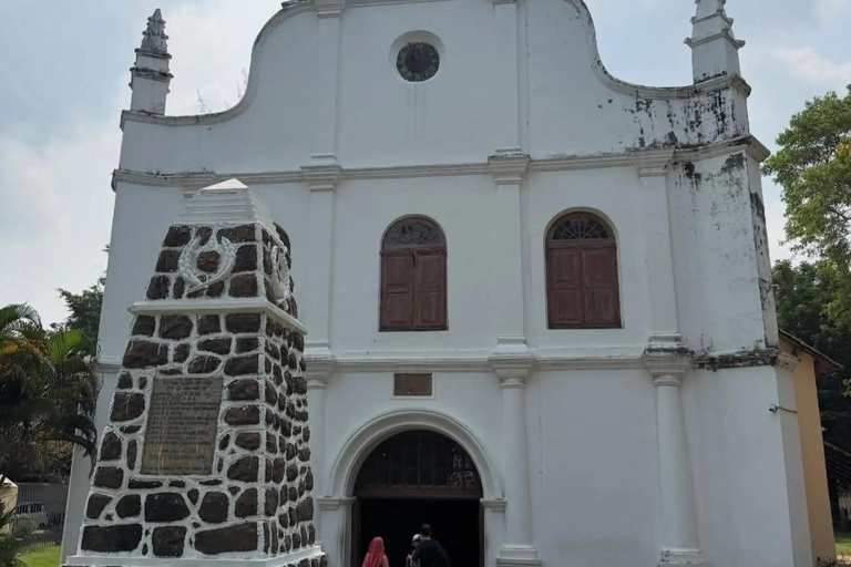 Kochi: Athirappilly Waterfalls & Fort Kochi Full Day Tour