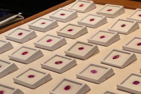 Colombo: Shore Excursion Gem Shopping Tour Shore Excursions from Colombo Port:Colombo Gem shopping tour