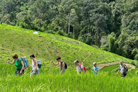 Chiang Mai: 2-Days Jungle Trek, Waterfalls and Karen Village
