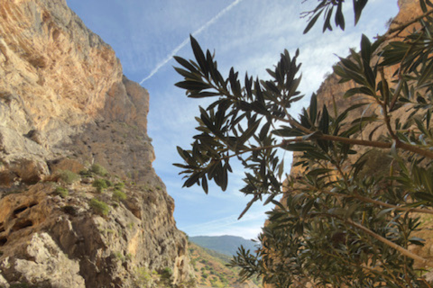Malaga: Caminito del Rey Guided Walking Tour