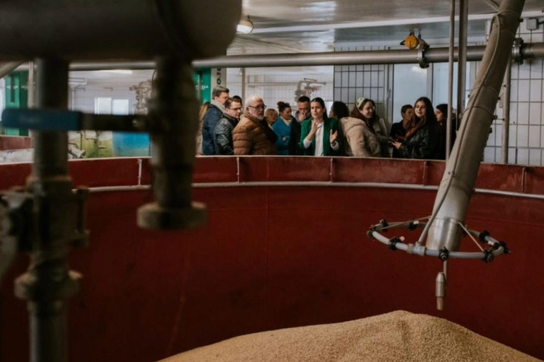 Visit a brewery in Murcia with tasting and tapas included, plus transfer