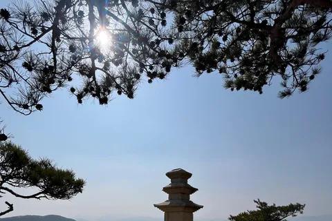 Senderos sagrados: camina y medita en la montaña Namsan de la UNESCO