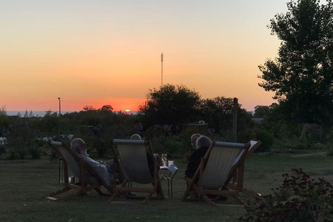 Colonia del Sacramento: Afternoon Tea at a Vineyard