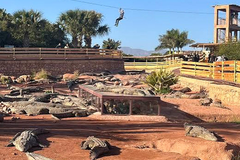 Agadir/Taghazout: Crocoparc Visit W- Entry Ticket & Transfer