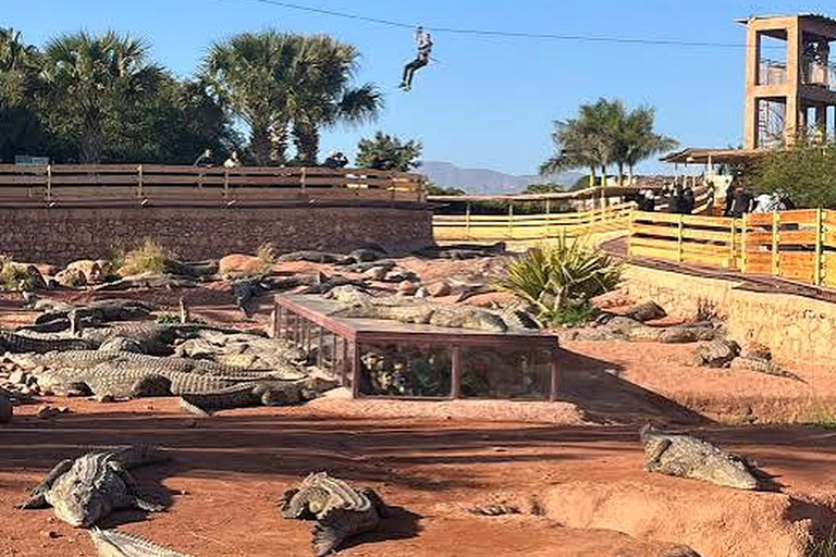 Agadir/Taghazout: Crocoparc Visit W- Entry Ticket & Transfer