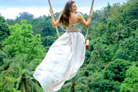 Ubud: Private Half-Day Tour Rice Terrace, Temple & Waterfall Private Ubud Half-Day Tour (Without Entrance Ticket)