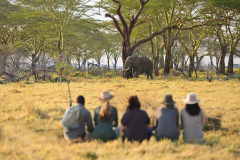 Safari de luxe de 2 jours depuis et vers Zanzibar (vols inclus)